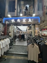 秋尚鲨鱼
